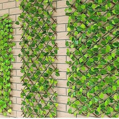 Treillis de Jardin extensible 1mx2m