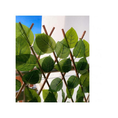 Treillis de Jardin extensible 1mx2m
