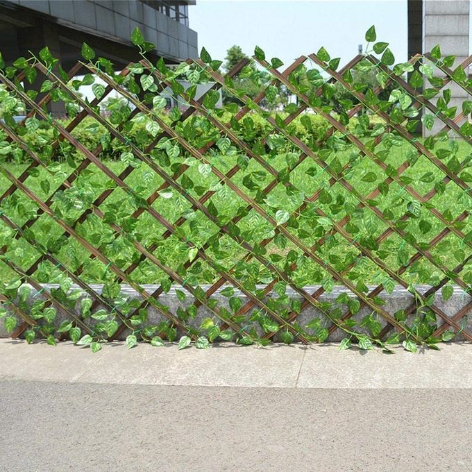 Treillis de Jardin extensible 1mx2m